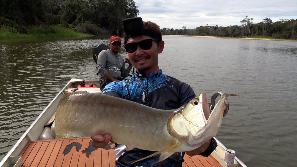 Saratoga (Osteoglossidae)