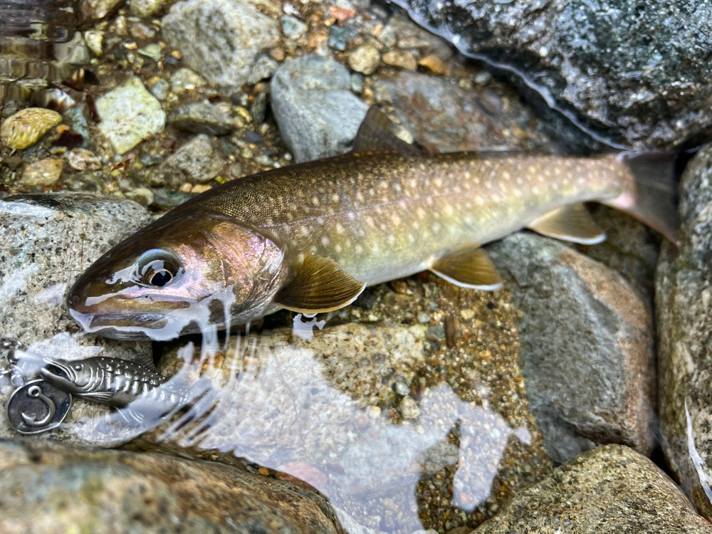 岩魚 ネックレス