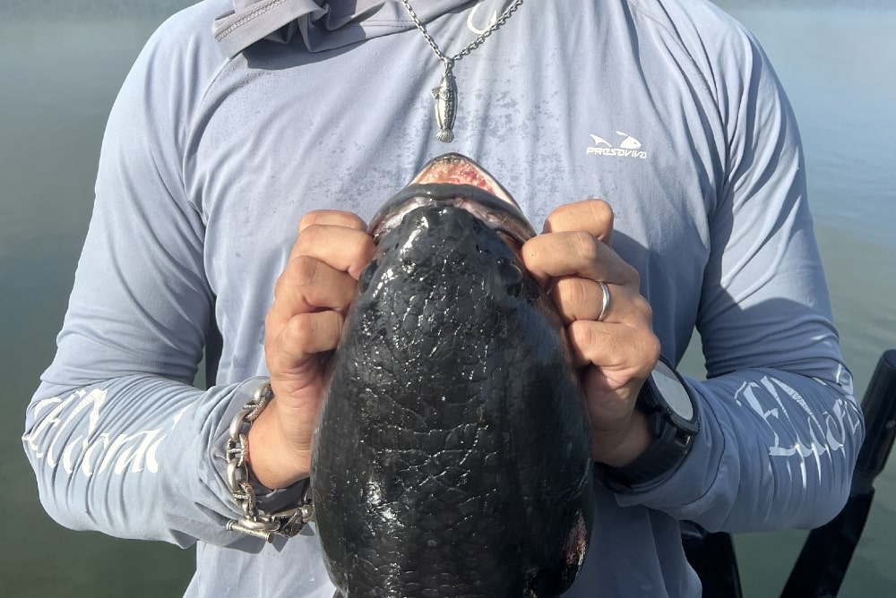 トーマン(チャドー)ネックレス