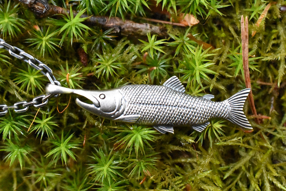 キングサーモン(サケ) - Eldorado