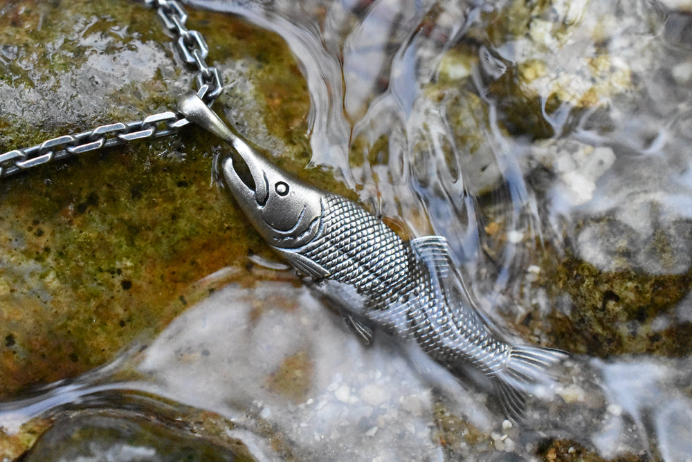 キングサーモン(サケ) - Eldorado