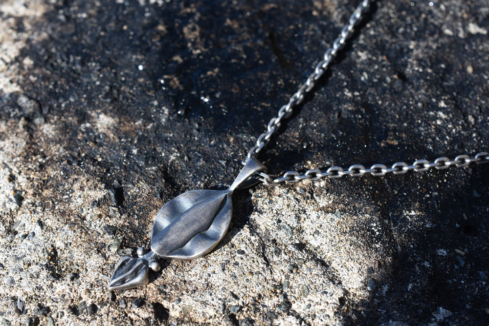 アオリイカ - Eldorado