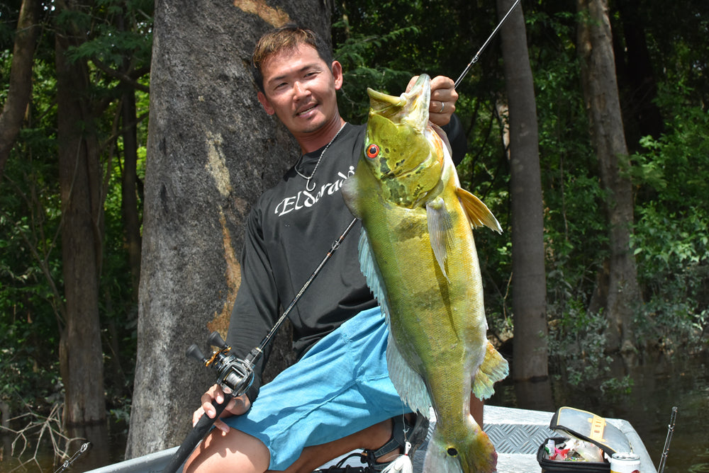 Lates Captor(ラテスキャプター) Eldoradoモデル パックロッド - Eldorado