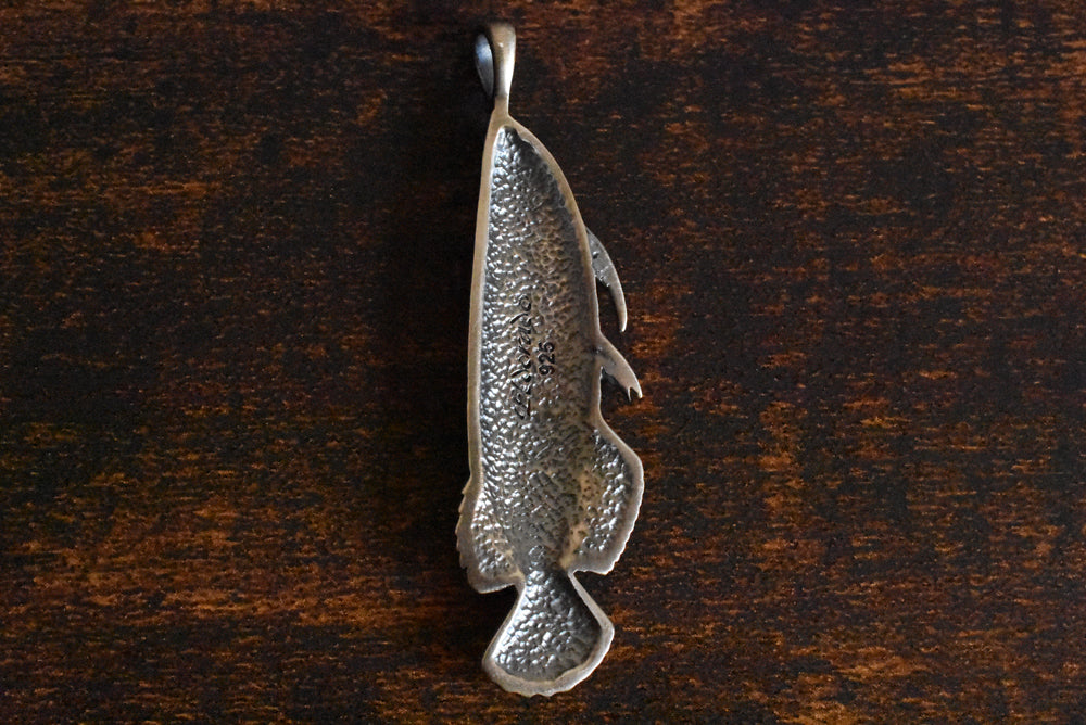 サラトガ(アロワナ) - Eldorado