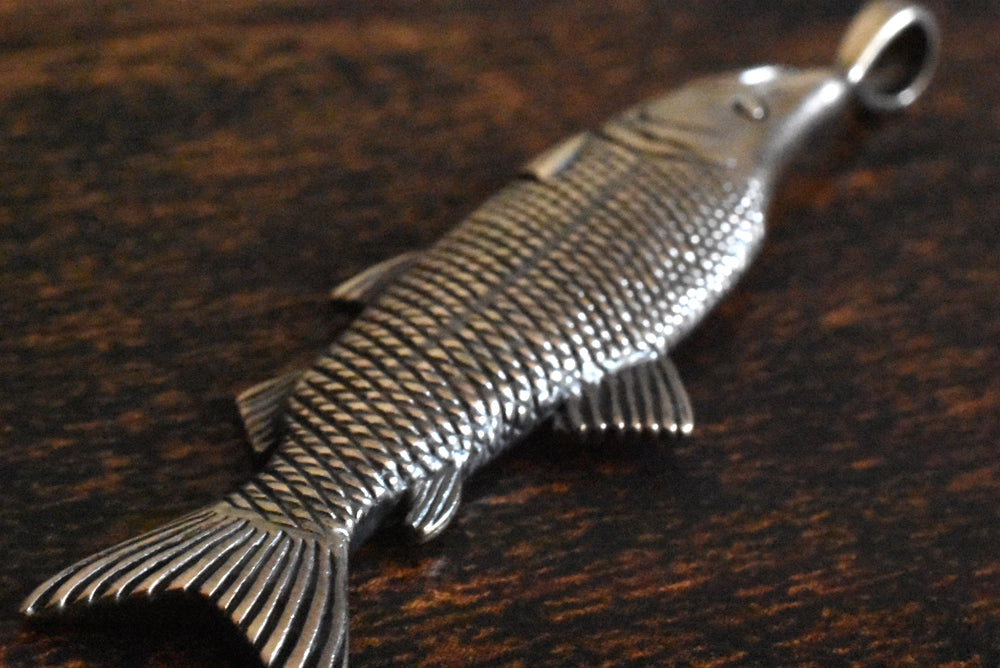 キングサーモン(サケ) - Eldorado