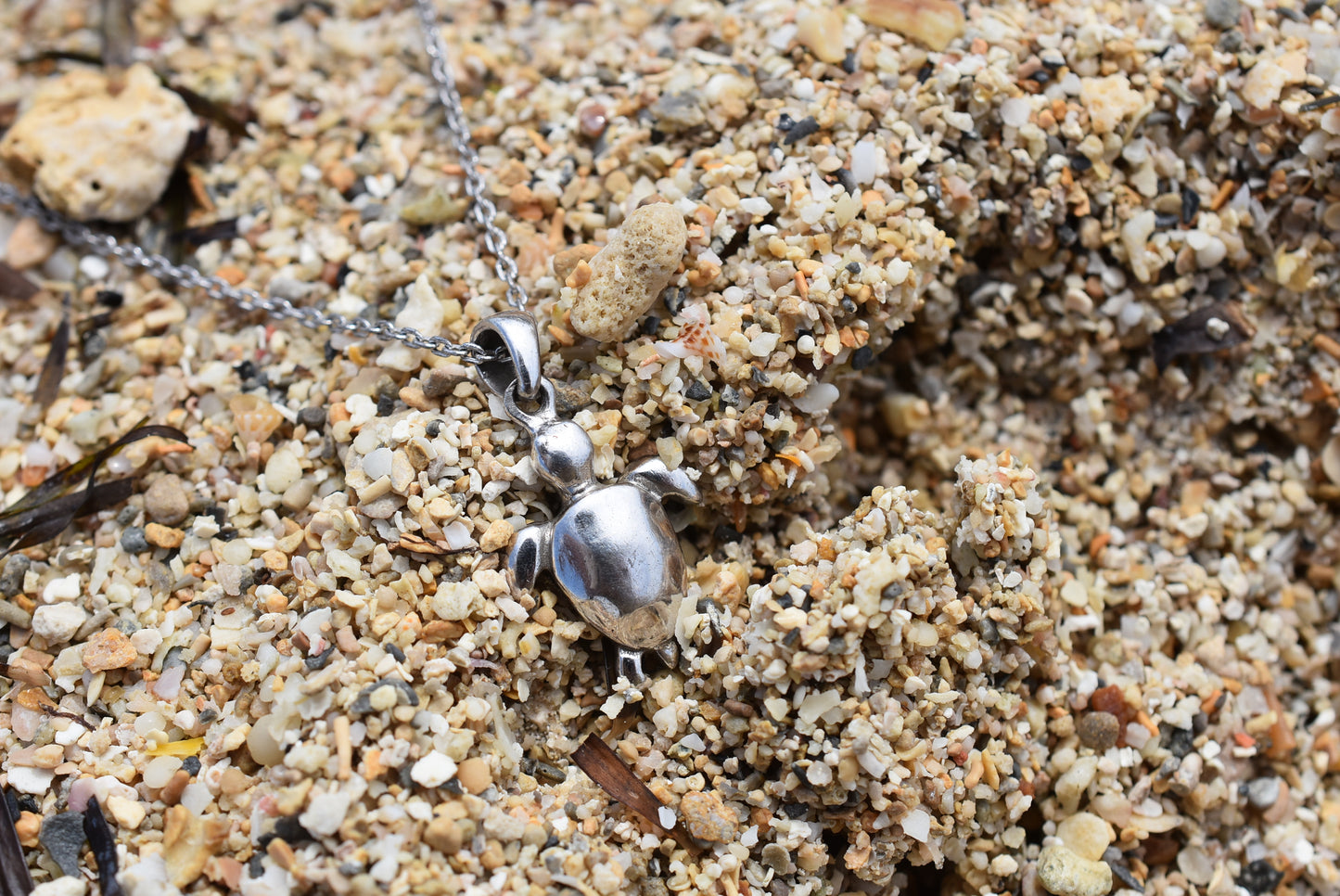 ウミガメ for Women - Eldorado