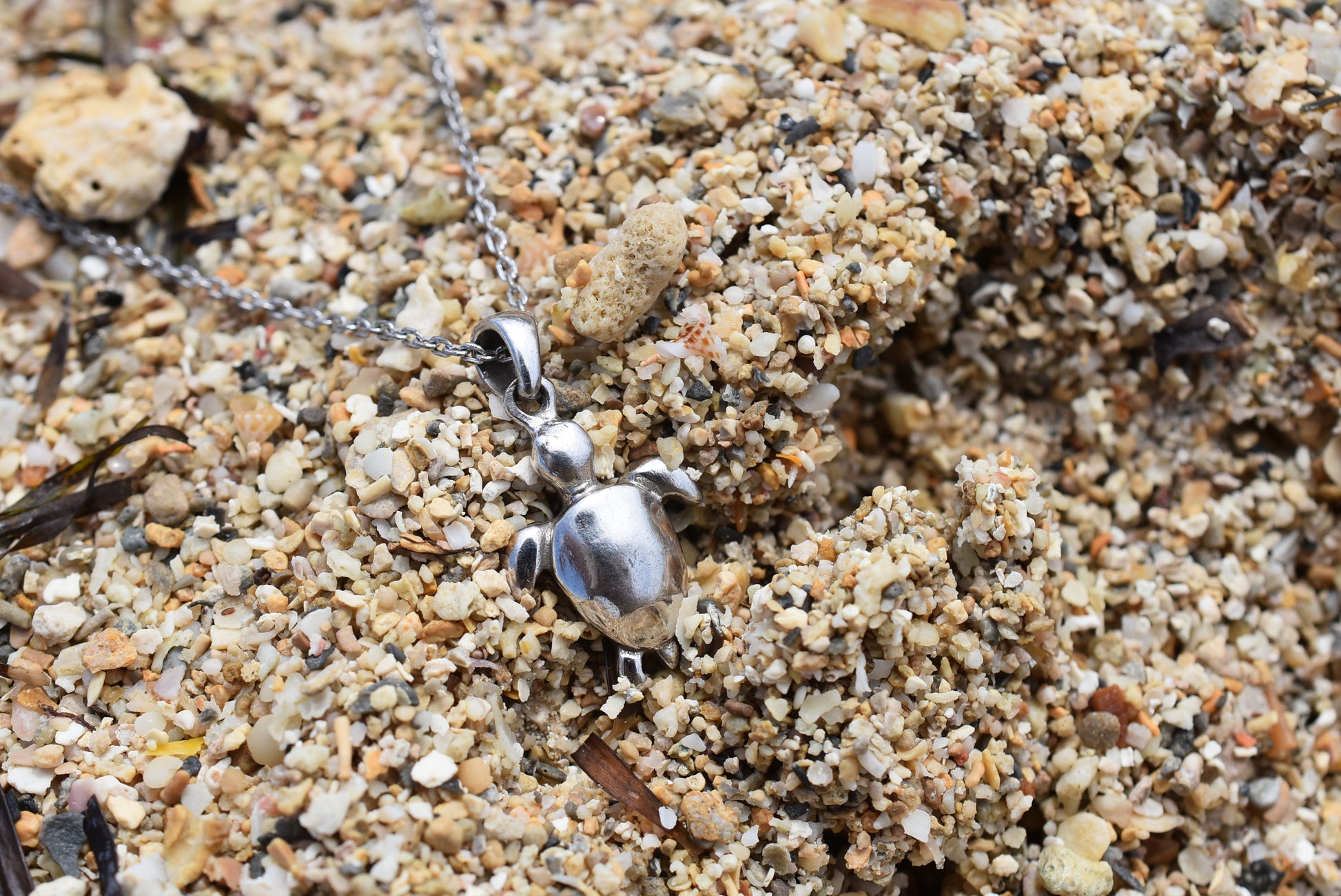 ウミガメ for Women - Eldorado