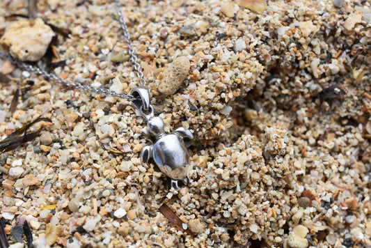 ウミガメ for Women - Eldorado