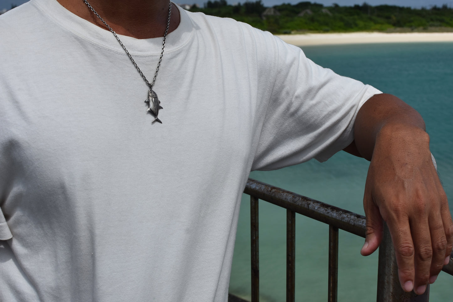 ロウニンアジ(GT)3D - Eldorado