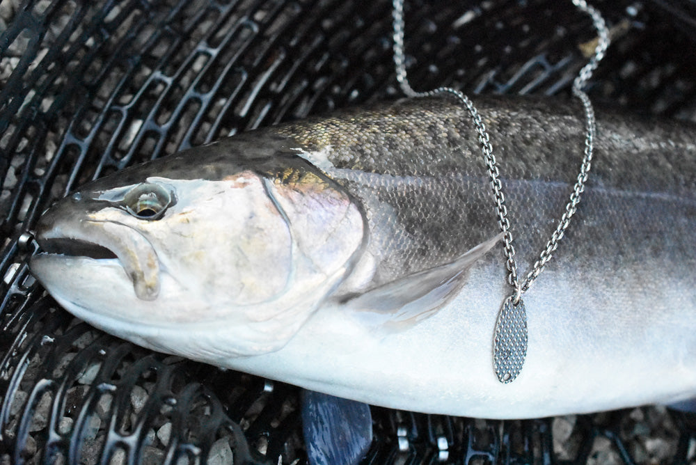 スプーン - Eldorado