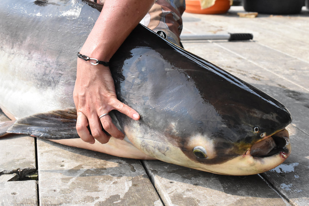 釣り針レザーブレスレット - Eldorado