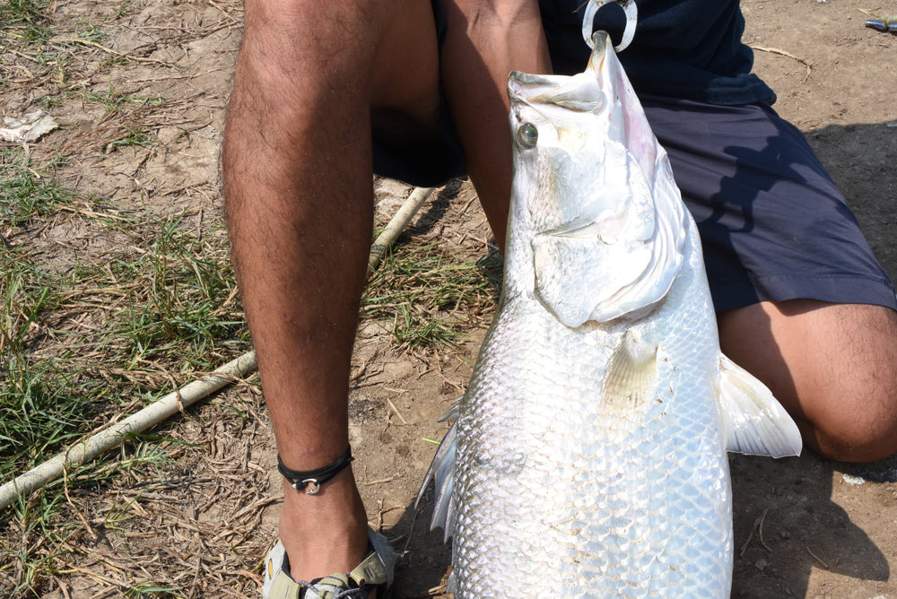 釣り針スエードブレスレット / アンクレット - Eldorado