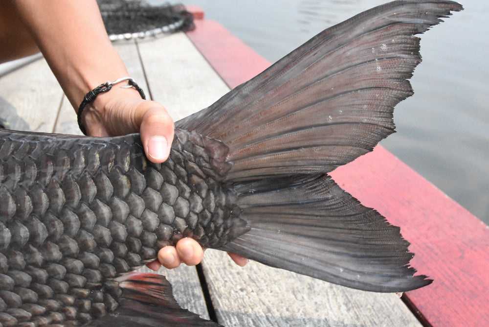 釣り針レザーブレスレット - Eldorado