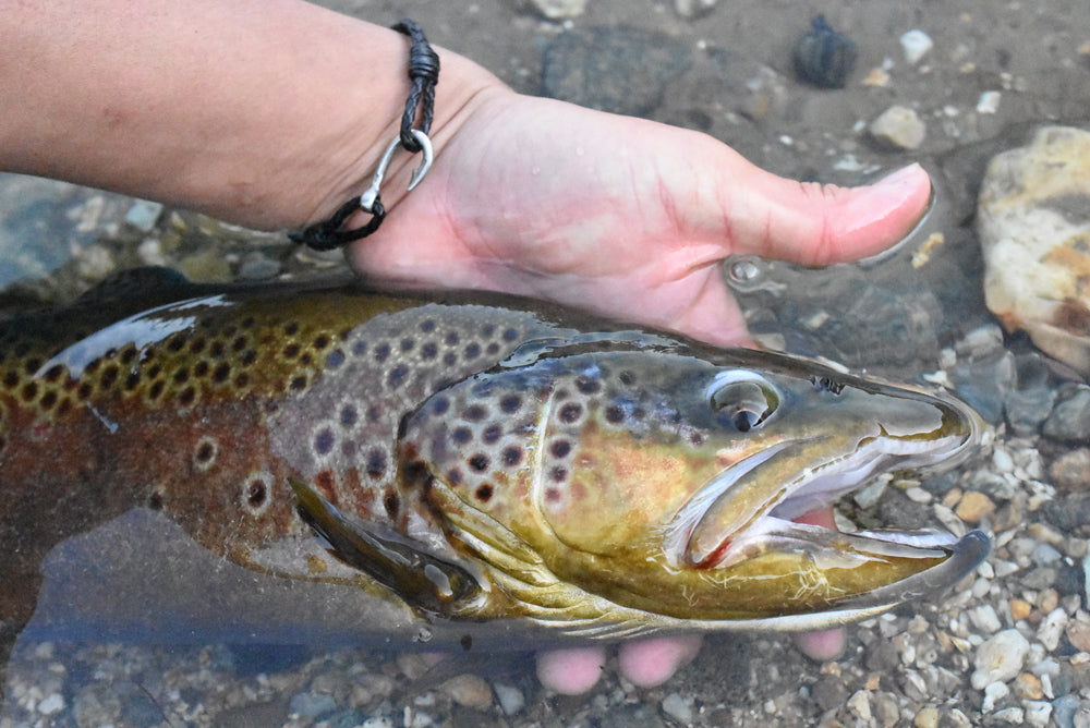 釣り針レザーブレスレット - Eldorado