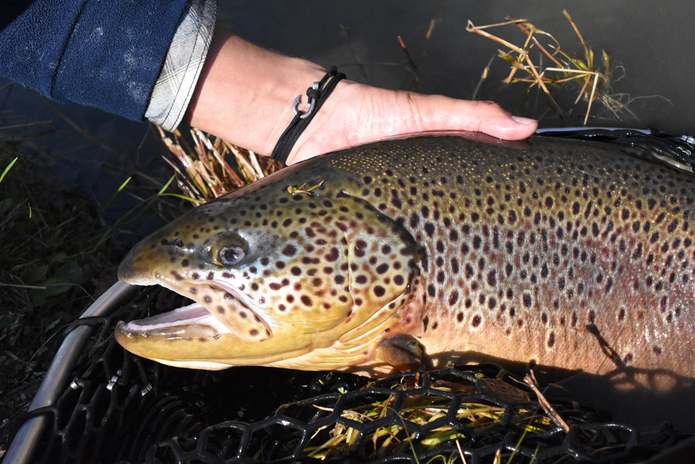 釣り針スエードブレスレット / アンクレット - Eldorado