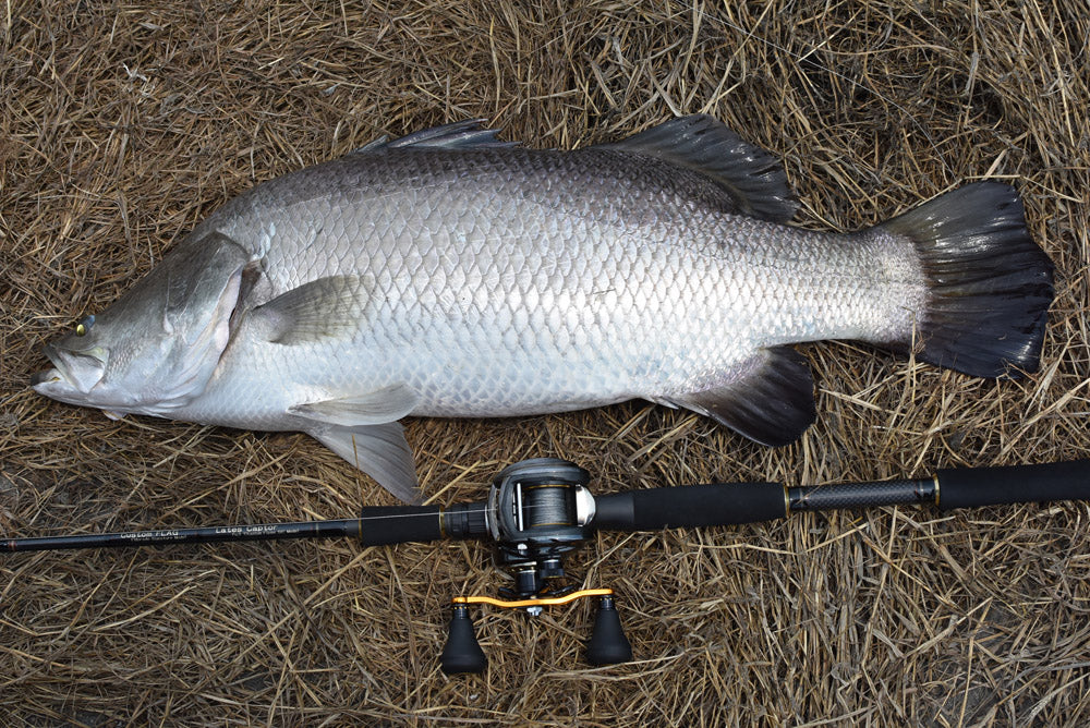 Lates Captor(ラテスキャプター) Eldoradoモデル パックロッド - Eldorado