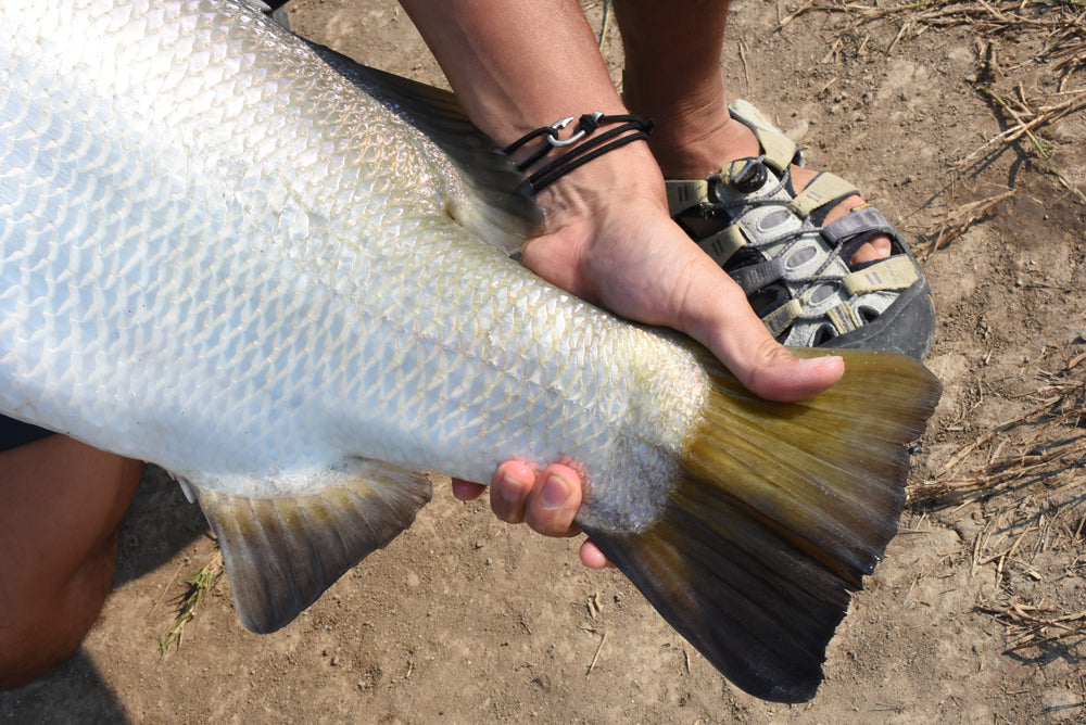 釣り針スエードブレスレット / アンクレット - Eldorado