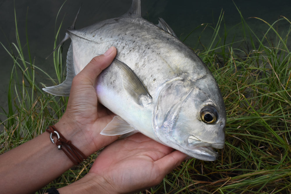 釣り針スエードブレスレット / アンクレット - Eldorado