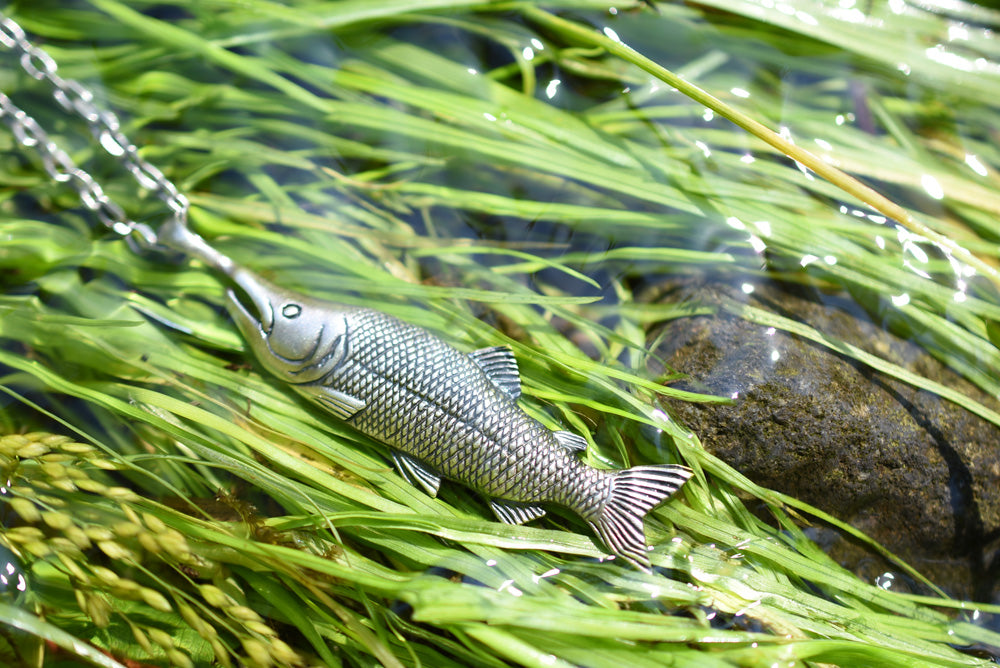 キングサーモン(サケ) - Eldorado