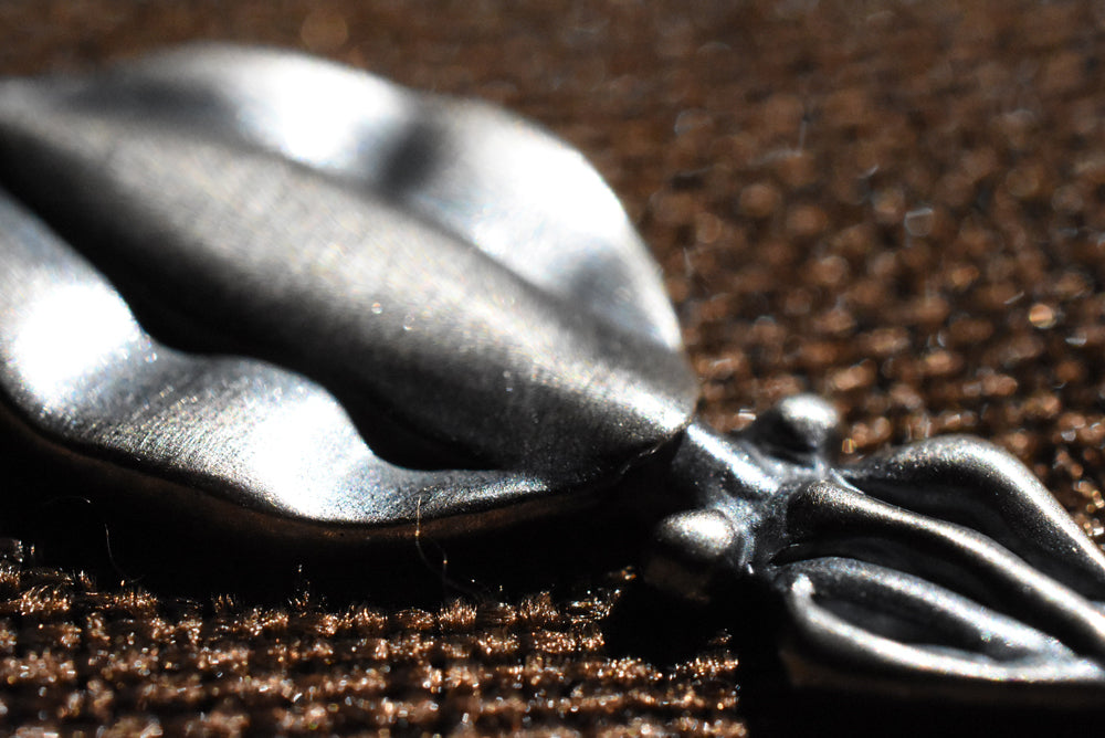 アオリイカ - Eldorado