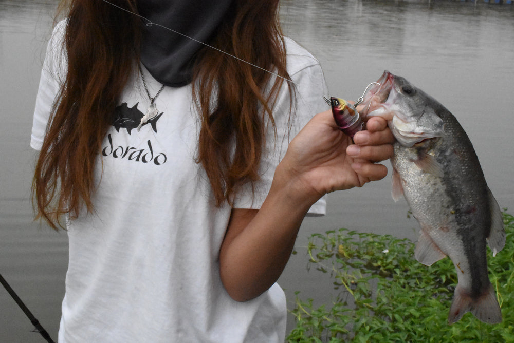 琵琶湖(マザーレイク) - Eldorado