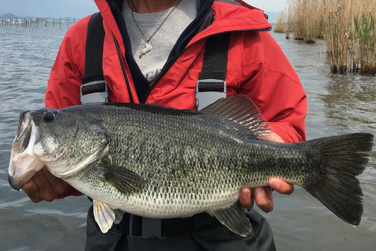 琵琶湖(マザーレイク) - Eldorado