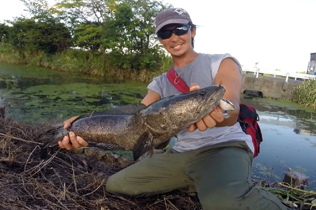 ルアーズファクトリー FireRep - Eldorado