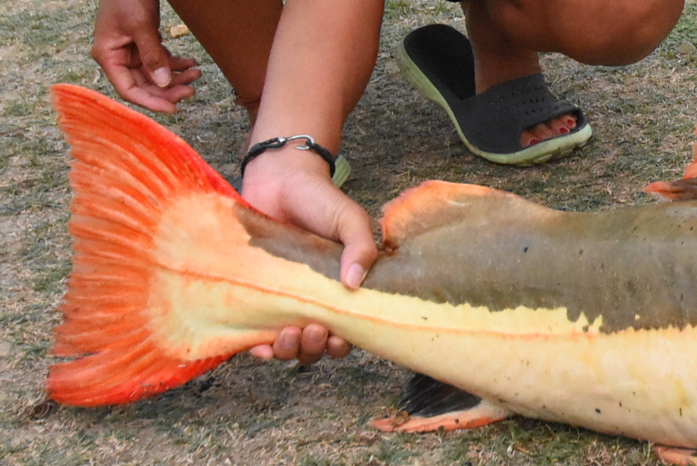 釣り針レザーブレスレット - Eldorado