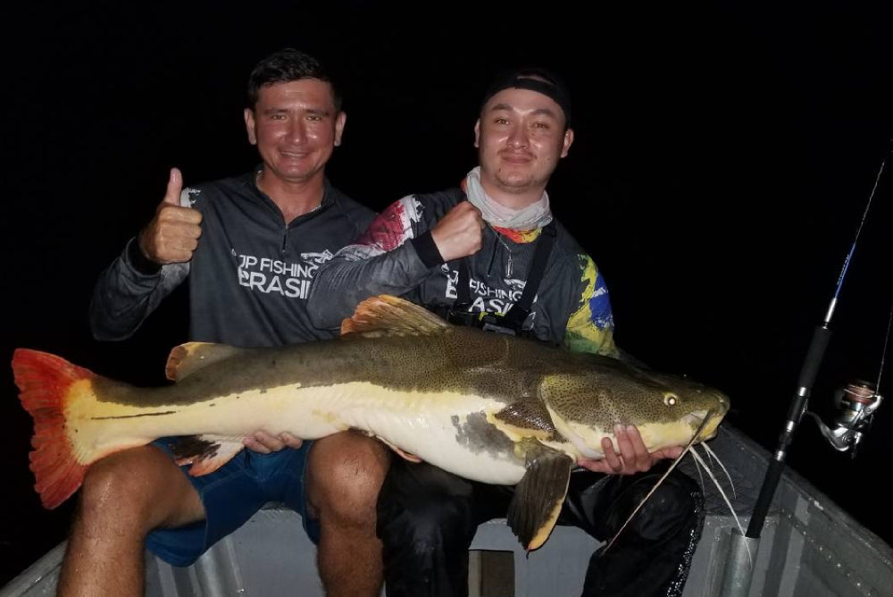 雷魚(スネークヘッド) - Eldorado