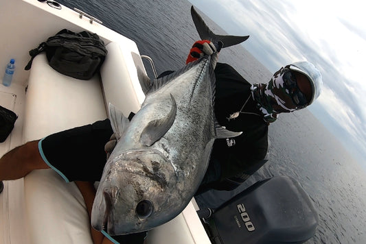 ロウニンアジ(GT) - Eldorado