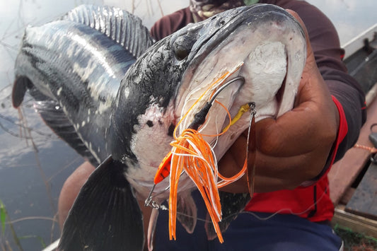 NOPPORN – SHAKE HEAD TORNADO - Eldorado