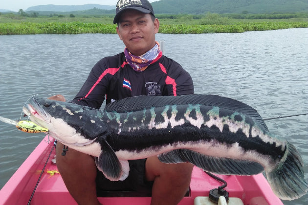 CLUB FIVE FISHING – BLACK DEEP - Eldorado