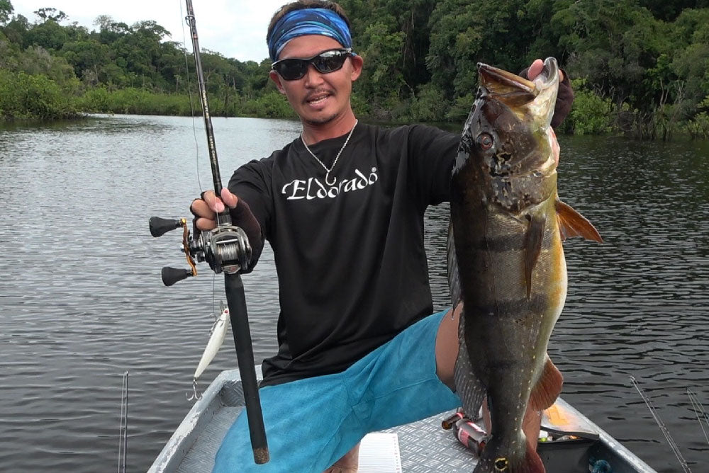 Lates Captor(ラテスキャプター) Eldoradoモデル パックロッド - Eldorado