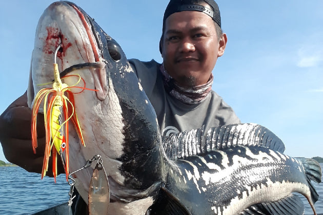 NOPPORN – SHAKE HEAD COMPACK - Eldorado