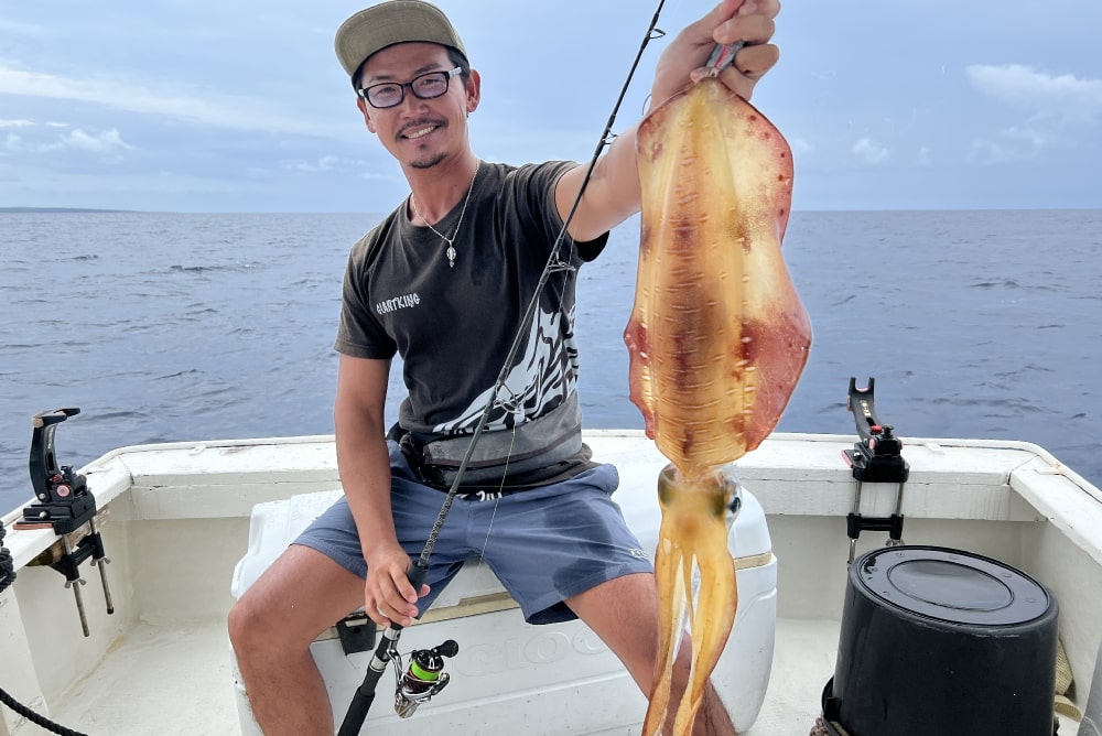 アオリイカ - Eldorado