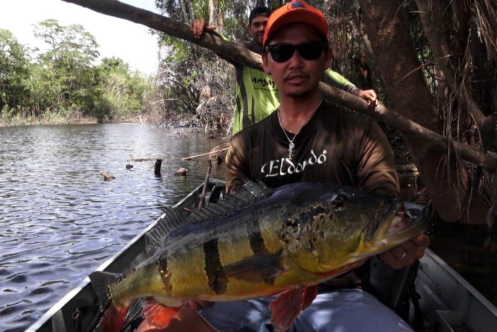 ピーコックバス(ツクナレ・アスー)ネックレス