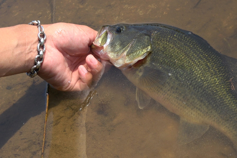 釣り針シルバーブレスレット - Eldorado