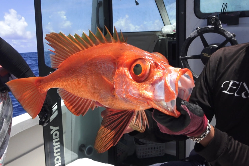 釣り針シルバーブレスレット - Eldorado