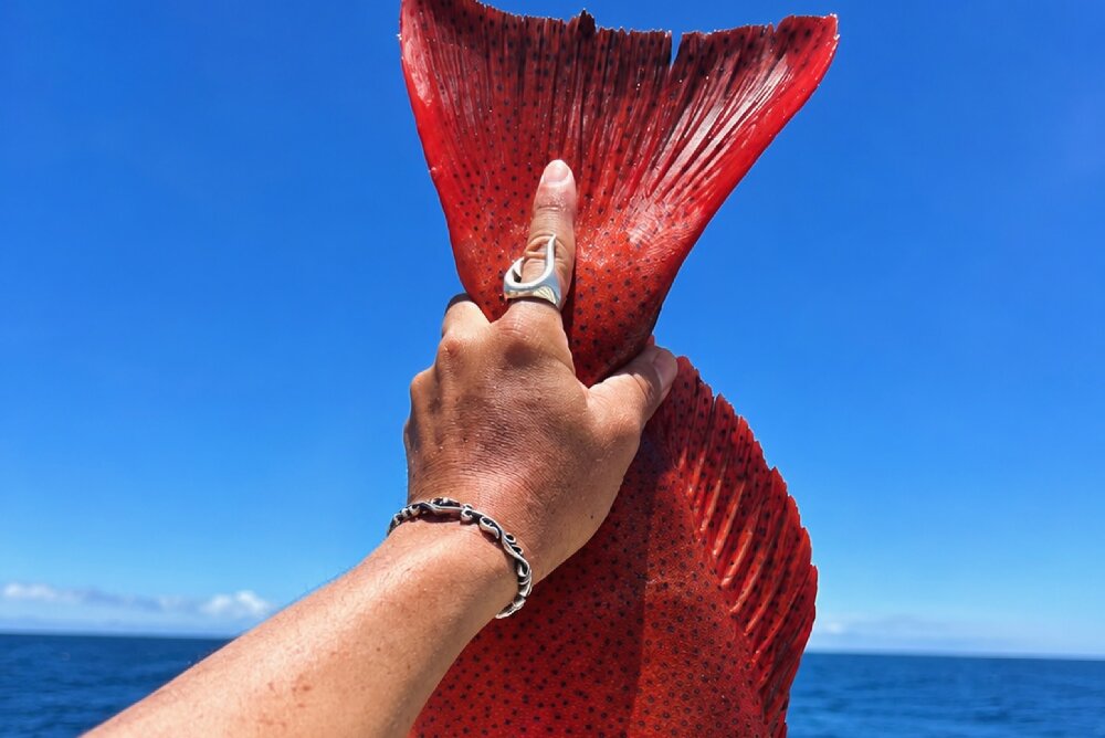 釣り針 リング