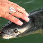 釣り針 リング