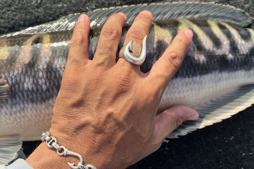 釣り針 リング