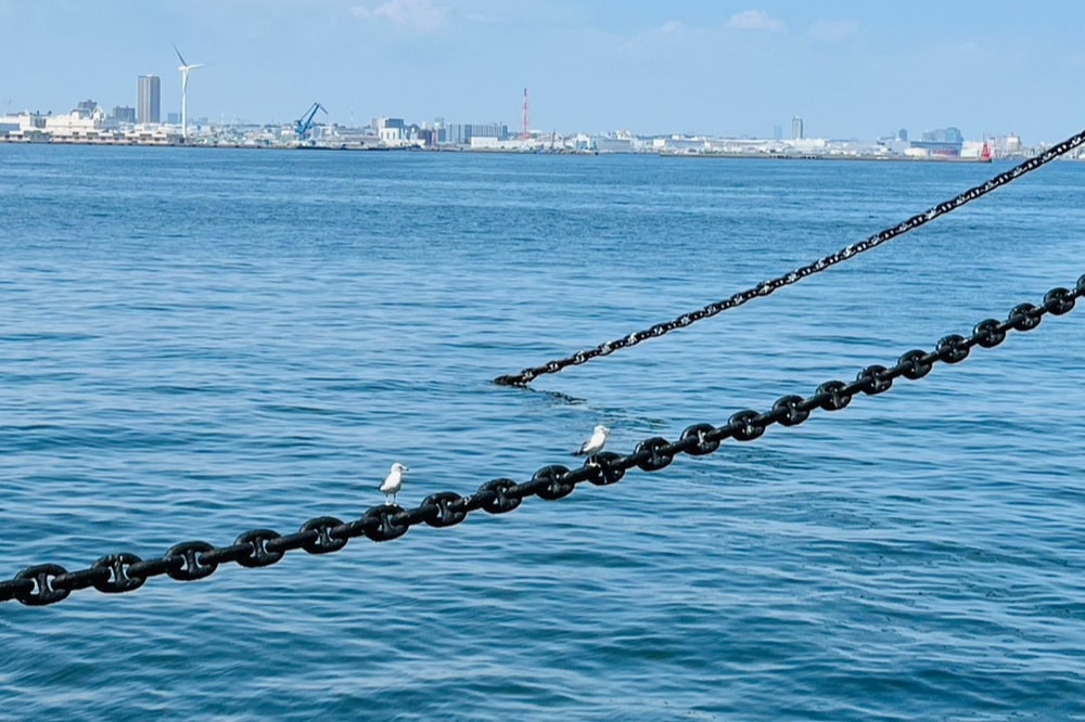 釣り針マリンチェーンブレスレット